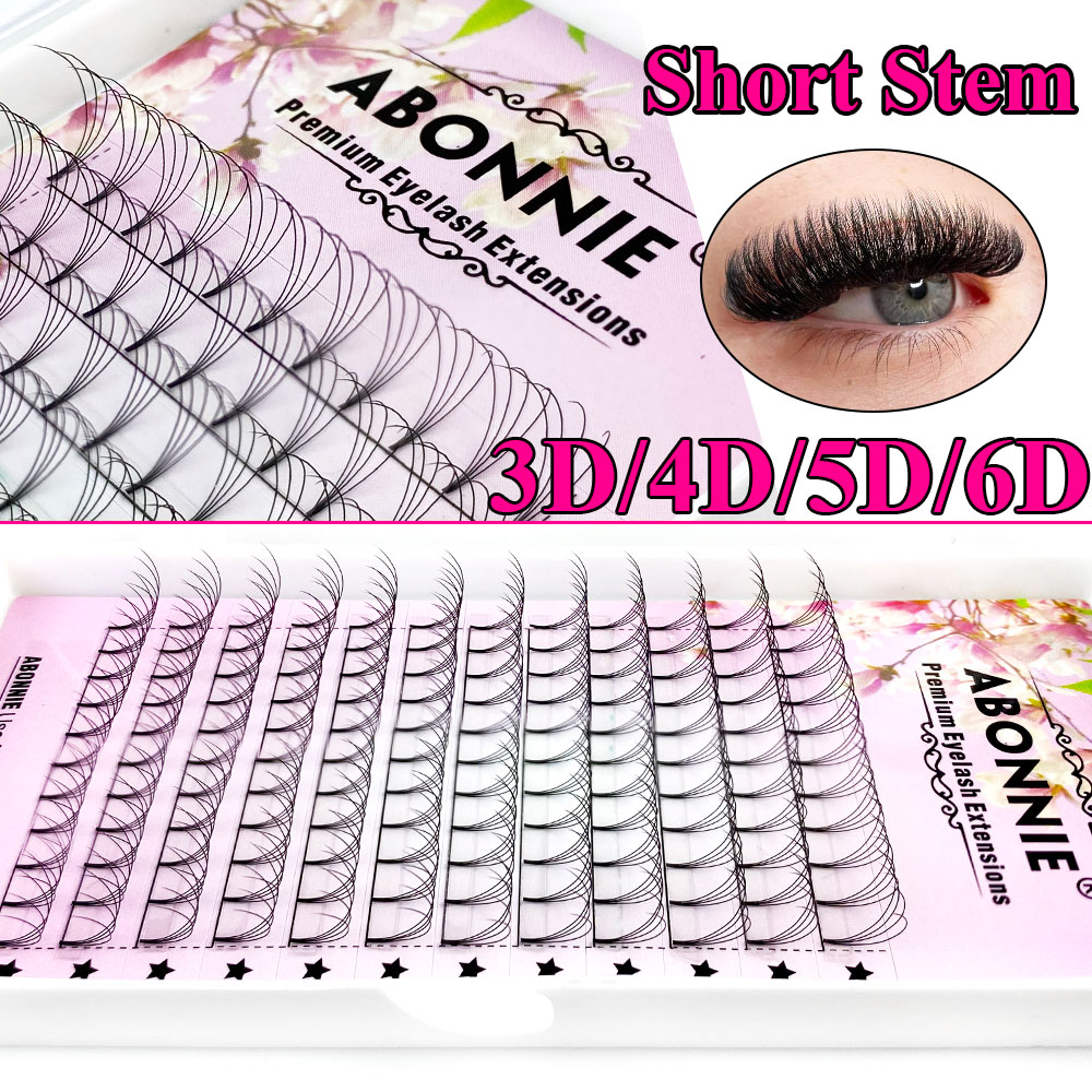 Abonnie 6D Narrow Fan Premade  - Eyelash Extension Human Hair 评论和价格